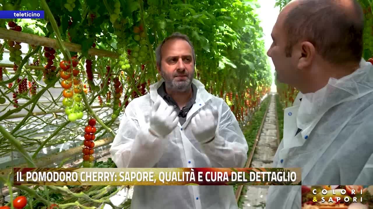 Colori & Sapori del 9 giugno 2026