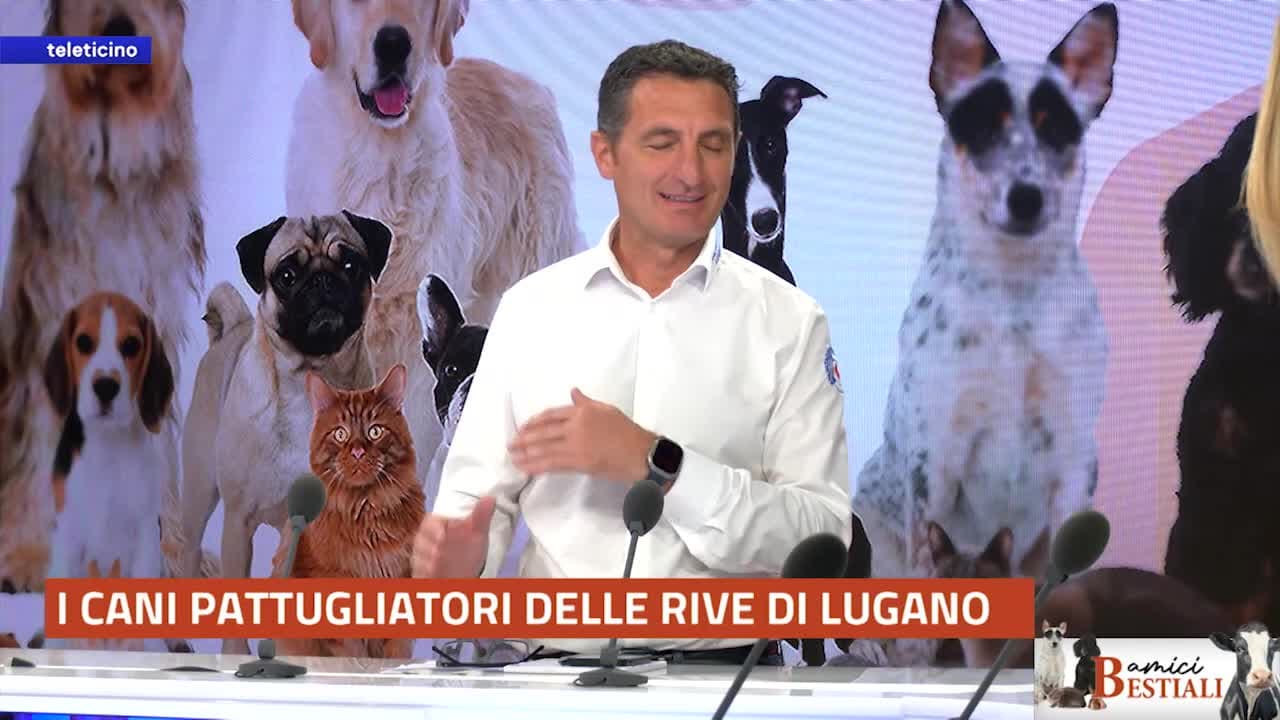 Amici Bestiali del 2 giugno 2025 - I CANI BAGNINO DI LUGANO