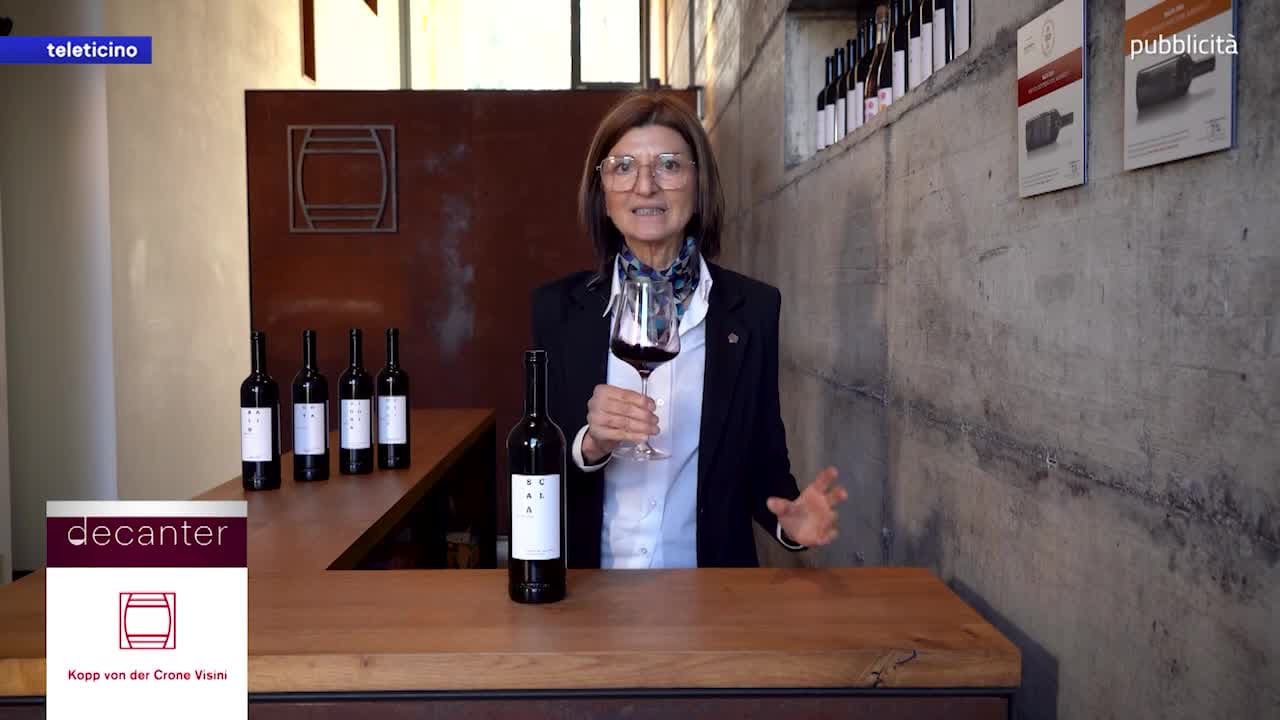 DECANTER - Cantina Kopp Von der Krone Visini del 26 febbraio 2026