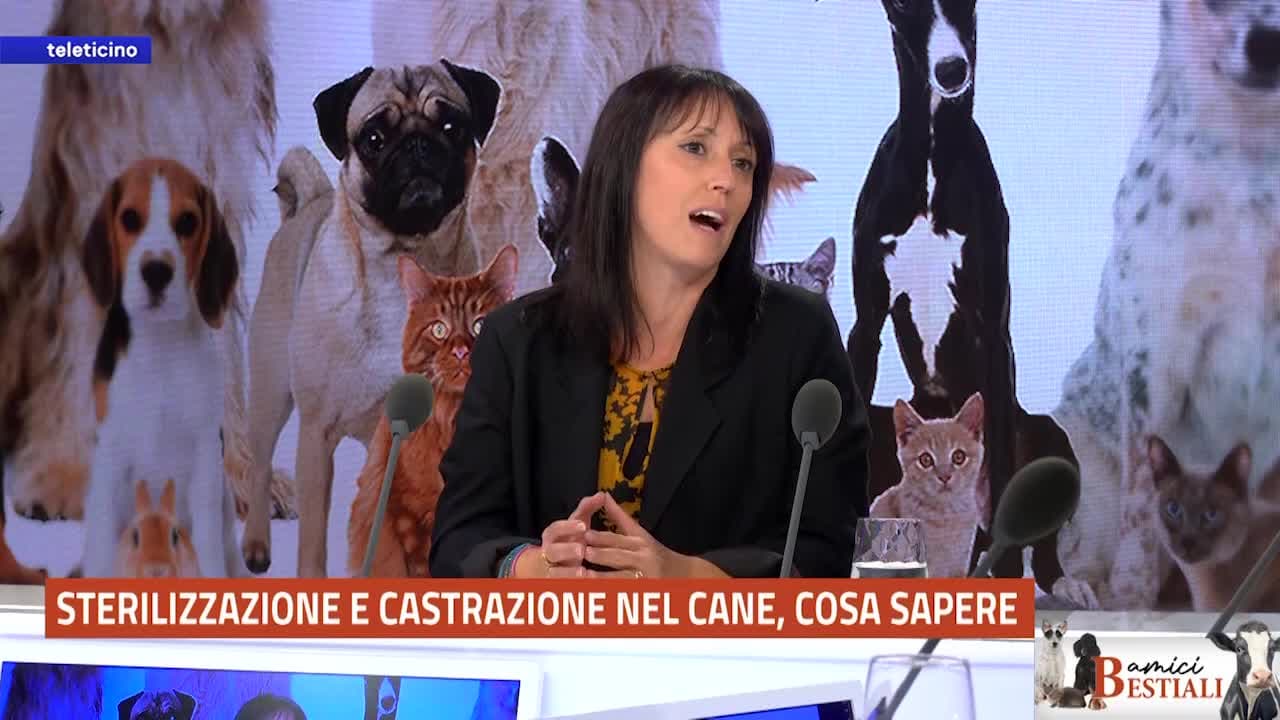 Amici Bestiali del 15 settembre 2025 - STERILIZZAZIONE E CASTRAZIONE, COSA SAPERE?