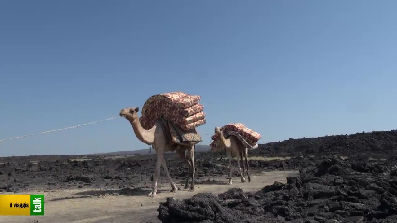 Il Viaggia Talk - 20.10.21