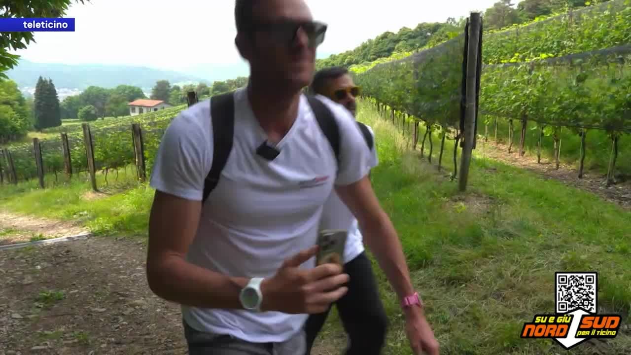 NORD-SUD, SU E GIÙ PER IL TICINO ORE 18:55 del 6 giugno 2025