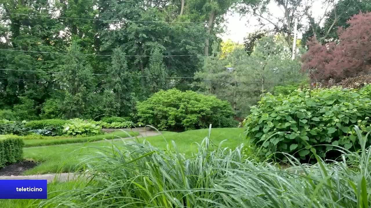 CASA DOLCE CASA - GRANO GIARDINI