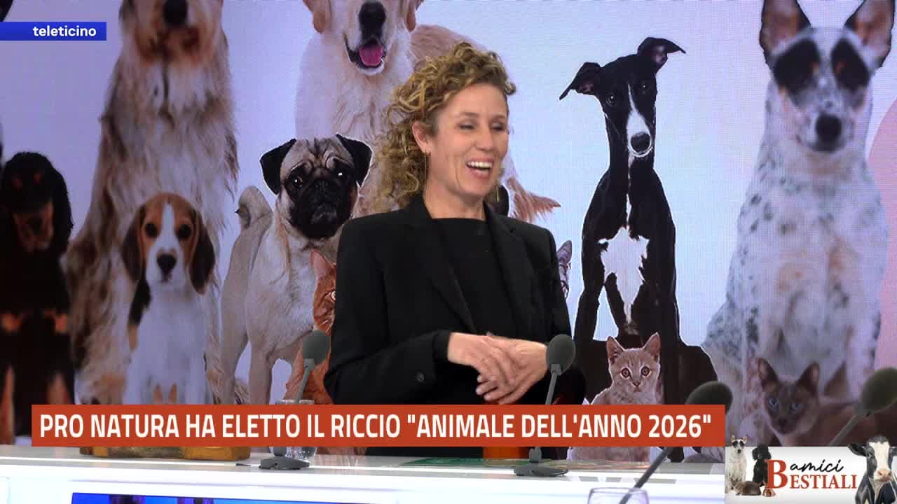 AMICI BESTIALI del 12 gennaio 2026 - PRO NATURA HA ELETTO IL RICCIO "ANIMALE DELL'ANNO 2026"
