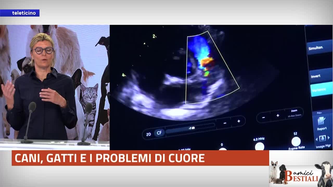 AMICI BESTIALI del 26 maggio 2025 - CANI E GATTI E PROBLEMI DI CUORE