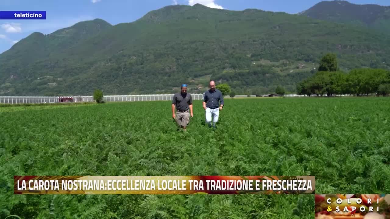 Colori & Sapori del 10 giugno 2026