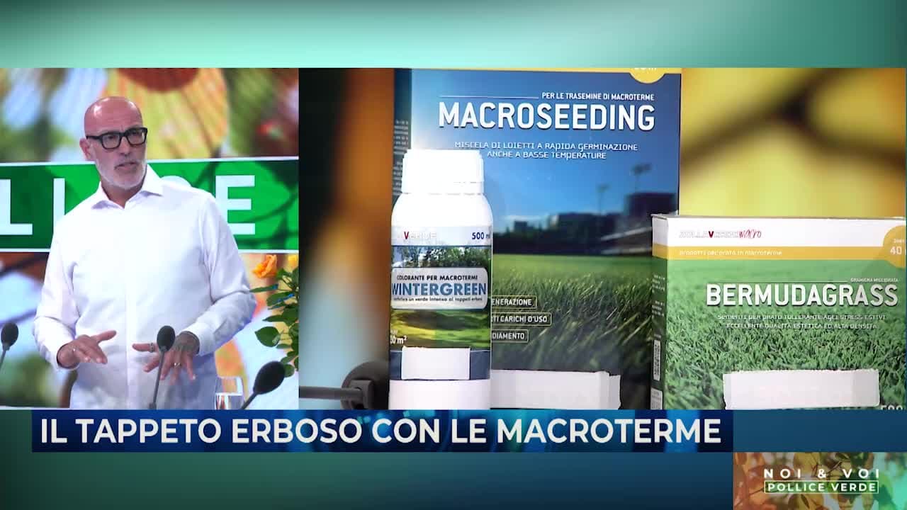 NOI & VOI - POLLICE VERDE - 02.05.24