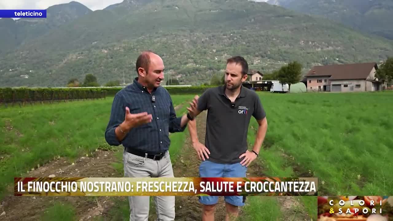 Colori&Sapori del 8 settembre 2026