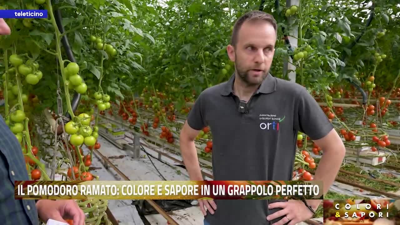 Colori&Sapori del 7 luglio 2026