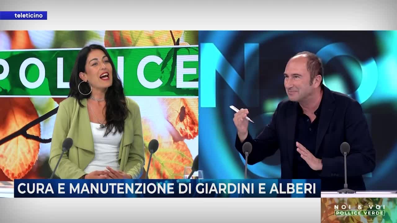 NOI & VOI DEL 3 GIUGNO 2025 - CURA E MANUTENZIONE DI PIANTE E ALBERI