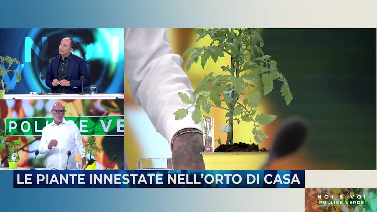 NOI & VOI - POLLICE VERDE - 18.04.24