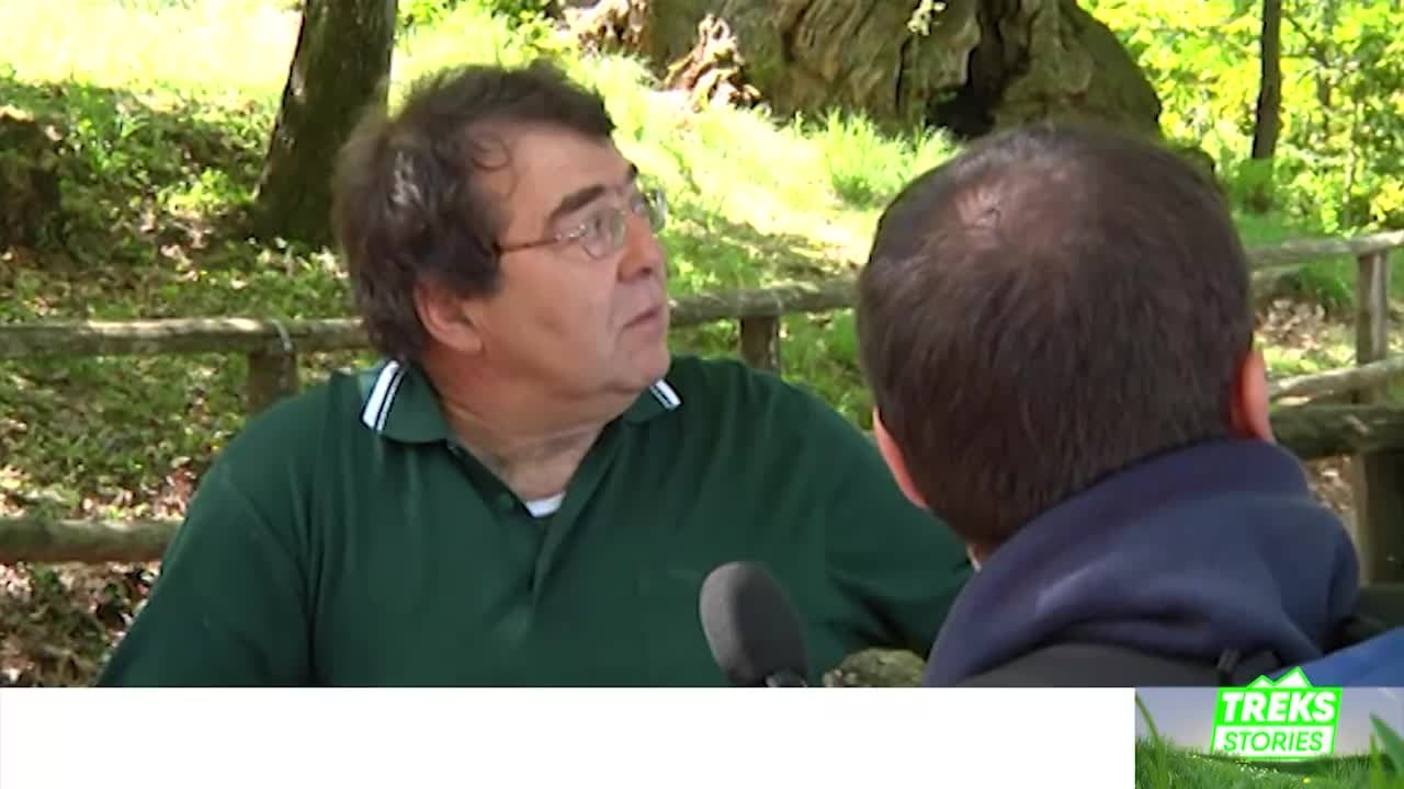 TREKS STORIES - Mendrisiotto alla scoperta del Monte San Giorgio - 27.06.24