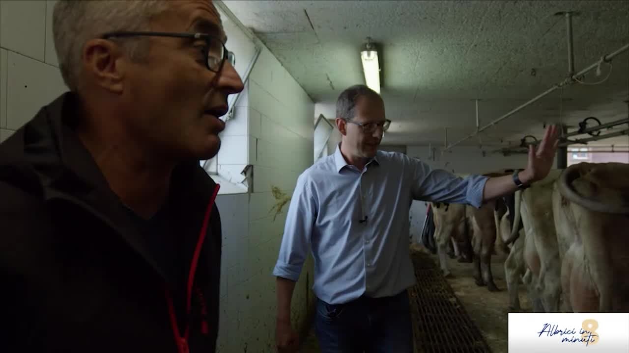 Albrici in 8 Minuti - Involtini croccanti di verdurine