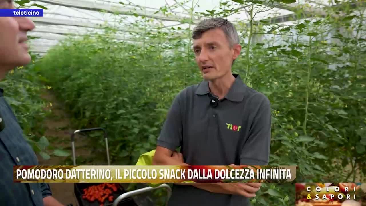 Colori&Sapori del 10 luglio 2026