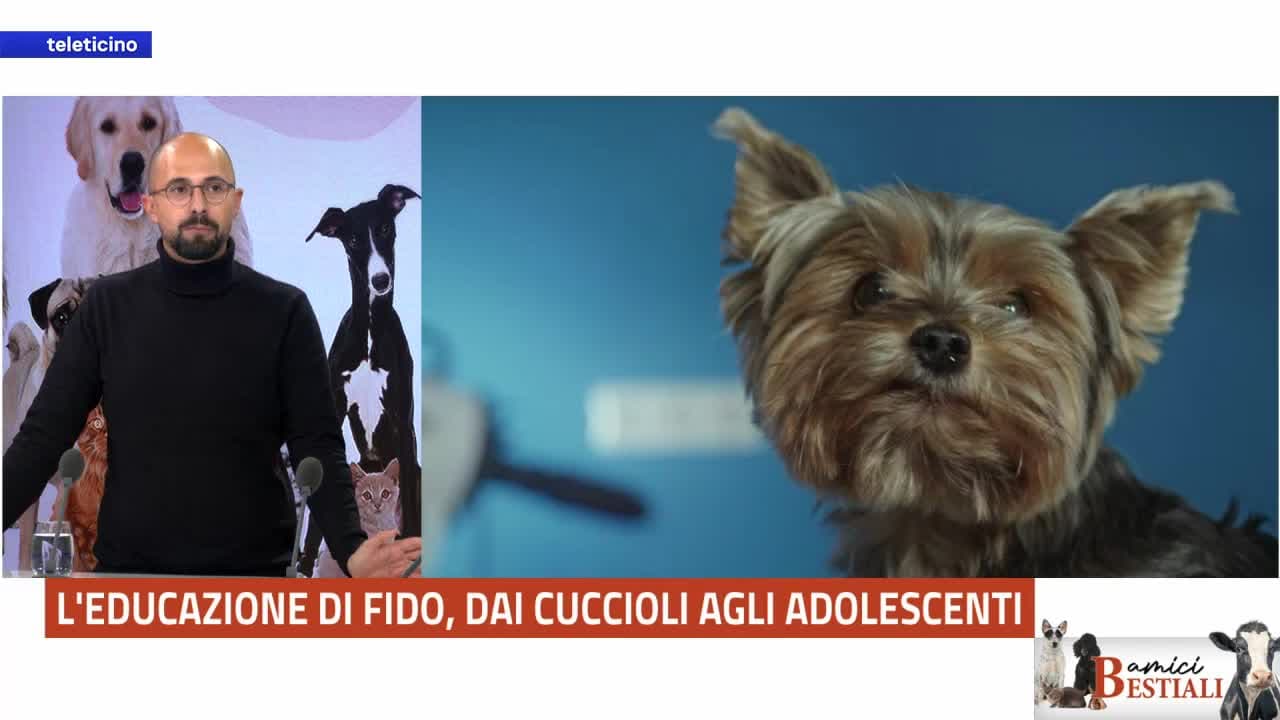 Amici Bestiali del 2 marzo 2026 - Cuccioli e adolescenti
