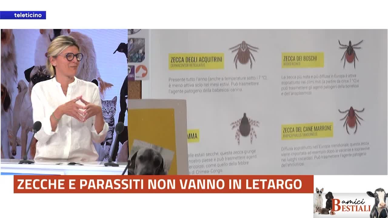 Amici Bestiali del 22 settembre 2025 - ZECCHE E PARASSITI NON VANNO IN LETARGO
