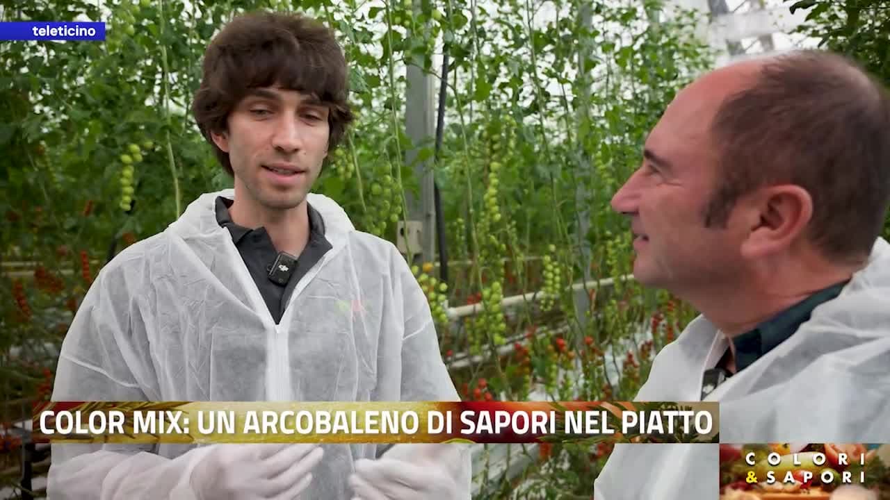 Colori&Sapori del 8 luglio 2026