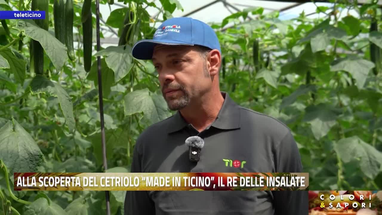 Colori & Sapori del 29 maggio 2026