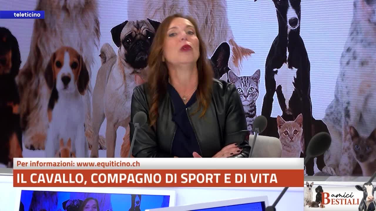 Amici Bestiali del 13 ottobre 2025 - IL CAVALLO, COMPAGNO DI SPORT E DI VITA