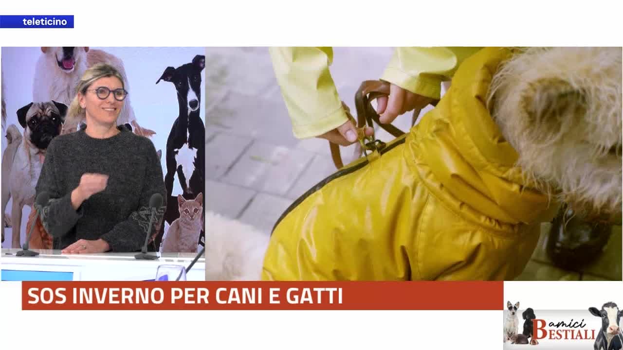 Amici Bestiali del 19 gennaio 2026 - SOS INVERNO PER CANI E GATTI