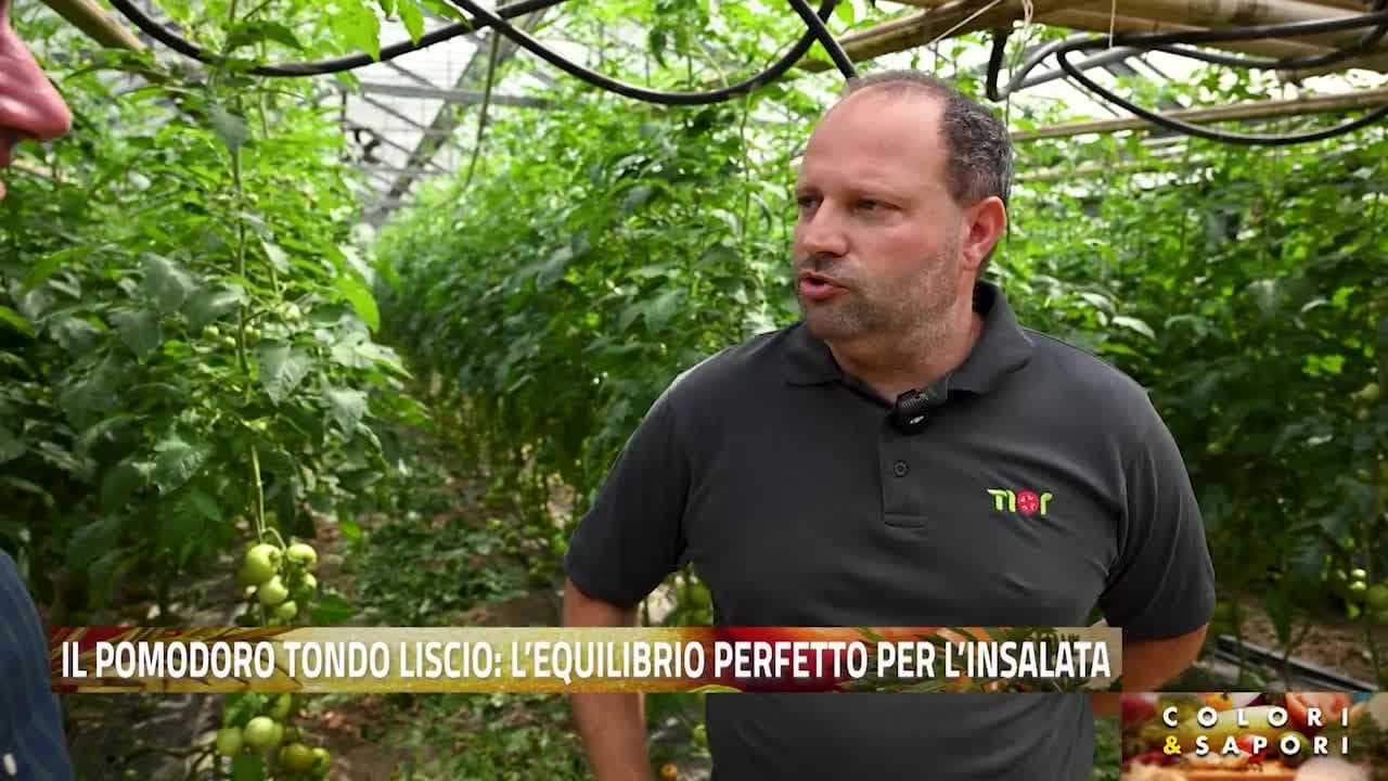 Colori&Sapori del 24 giugno 2026
