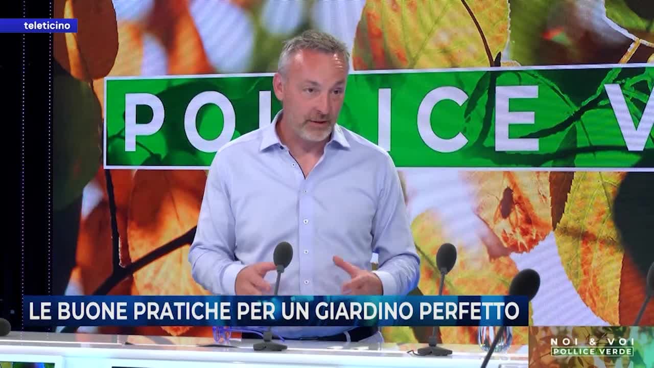 Noi&Voi del 1 luglio 2025 - Le buone pratiche per un giardino perfetto
