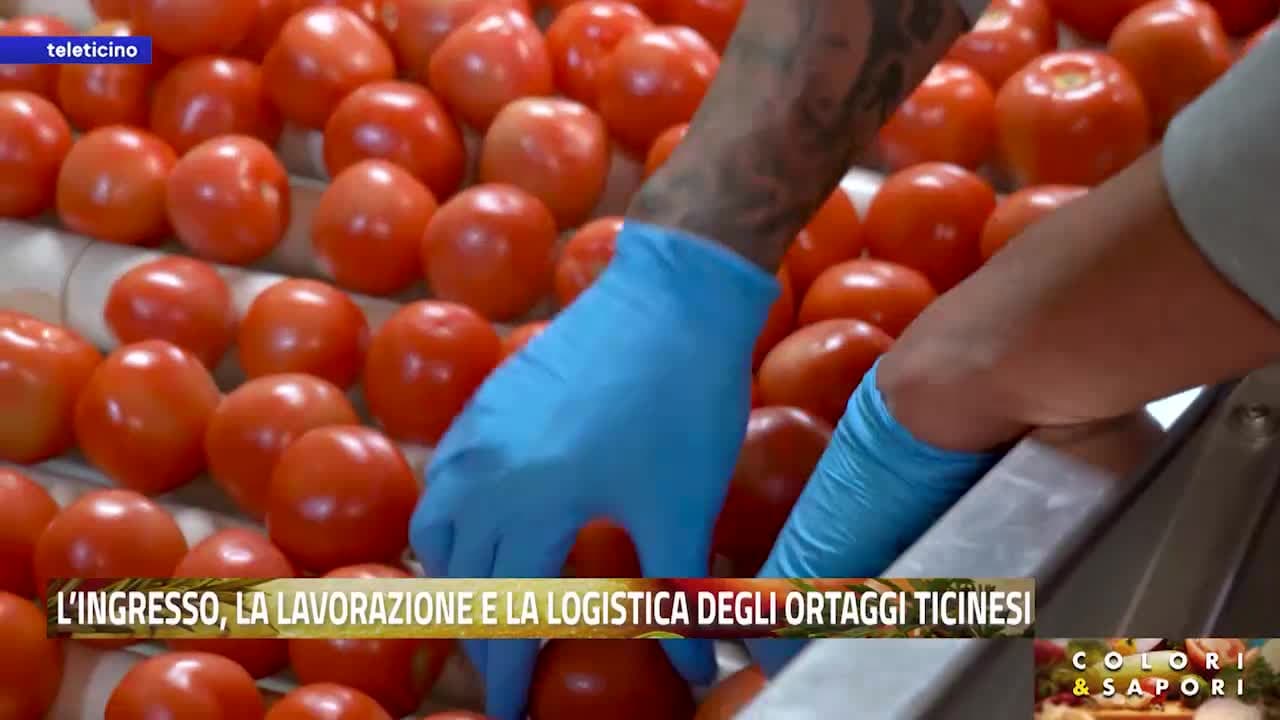 Colori & Sapori del 8 giugno 2026