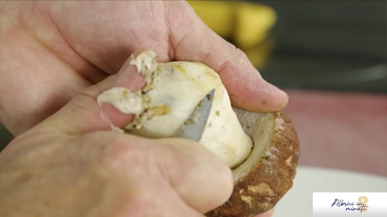 Albrici in 8 minuti - Filetto di camoscio, porcini, vinaigrette, miele e rosmarino