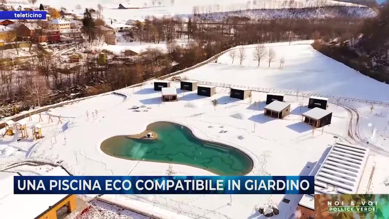 Noi & Voi del 23 giugno 2025 - una piscina eco compatibile in giardino