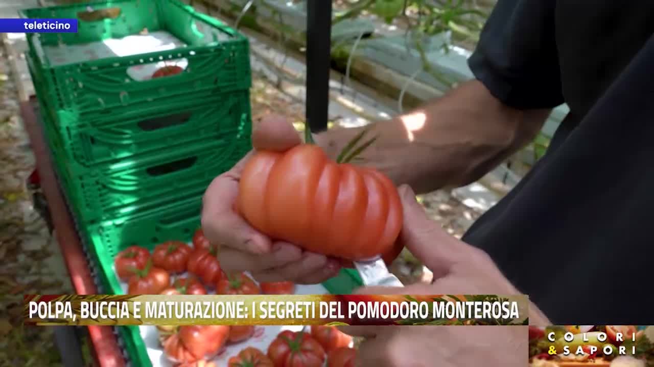 Colori & Sapori del 12 giugno 2026