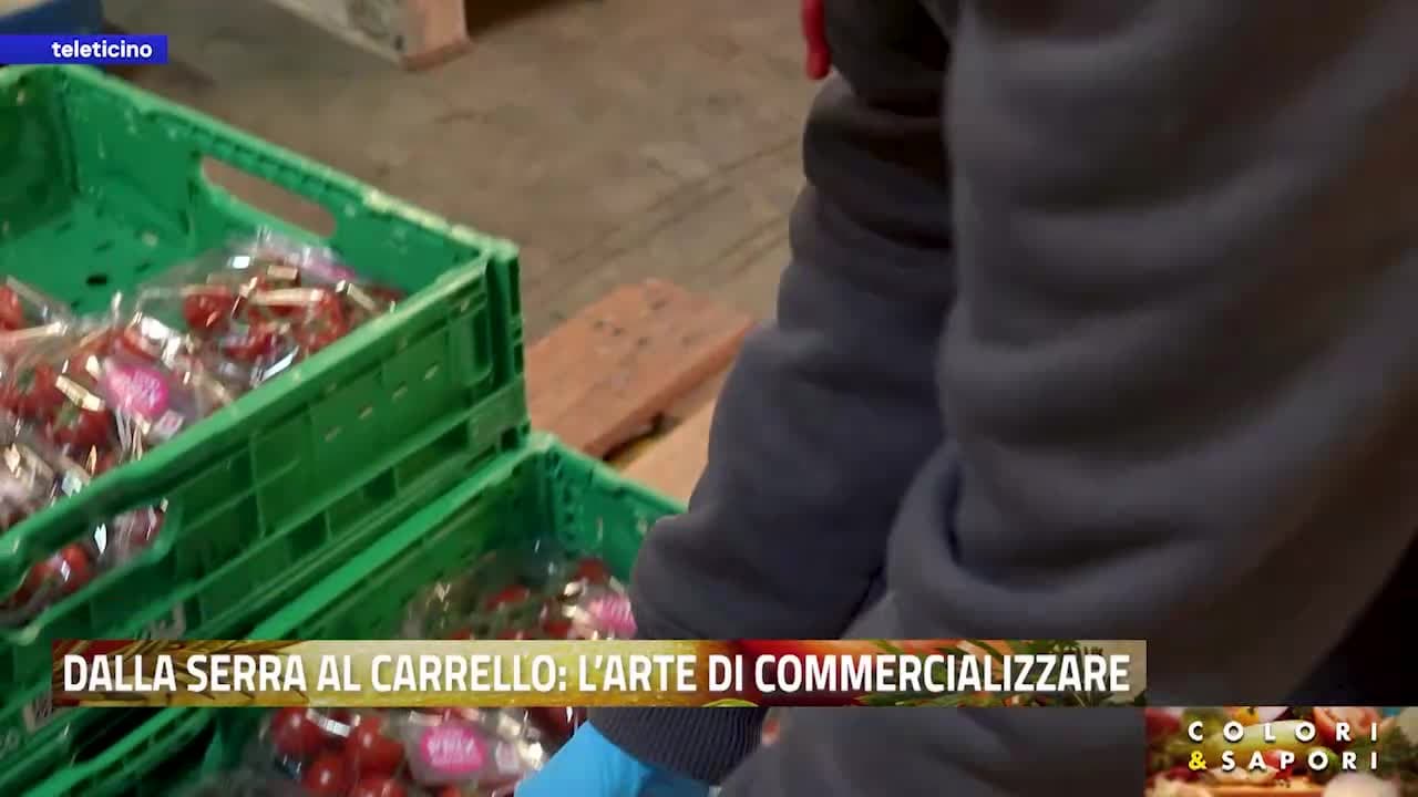 Colori&Sapori del 6 luglio 2026