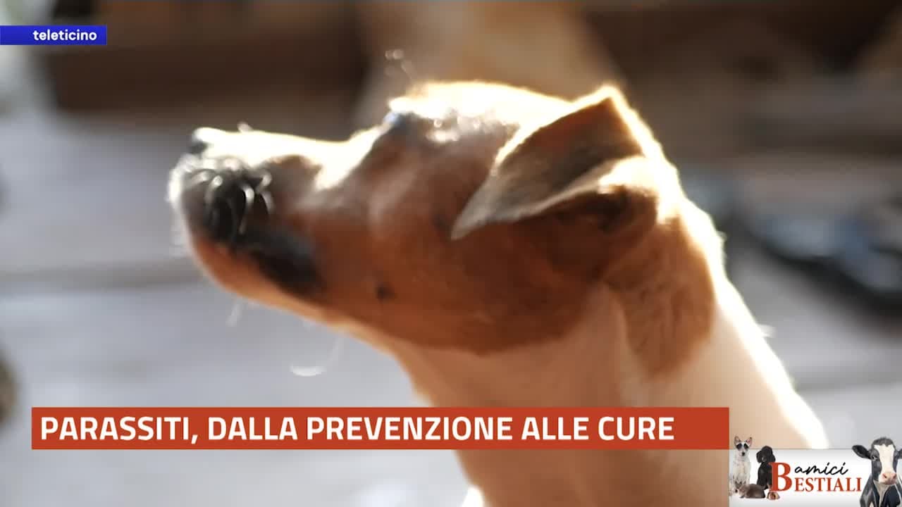AMICI BESTIALI del 14 aprile 2025 - Parassiti, dalla prevenzione alle cure