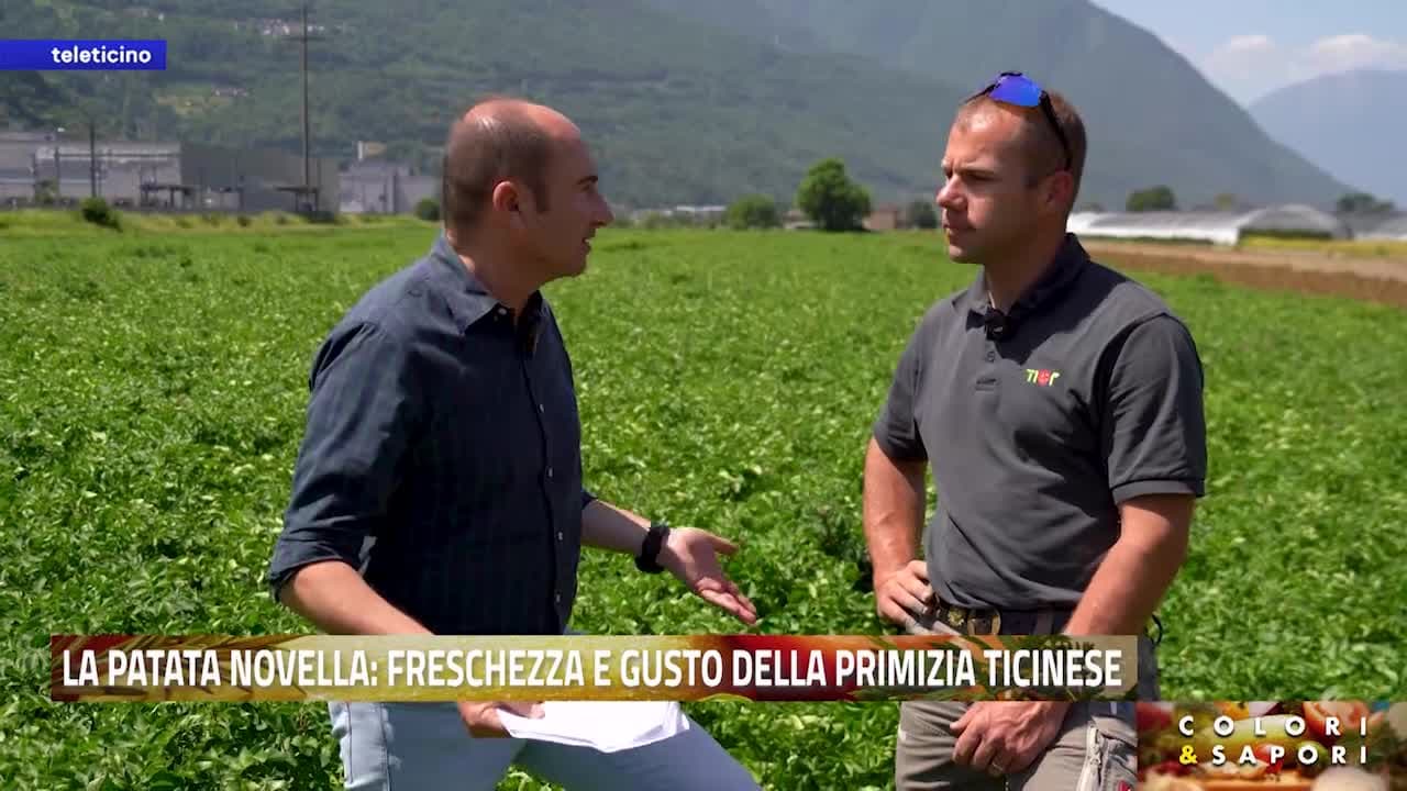 Colori & Sapori del 11 giugno 2026