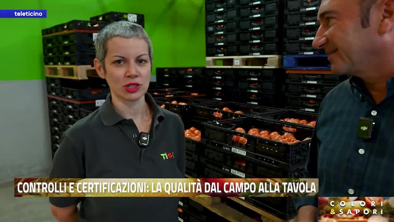 Colori&Sapori del 7 settembre 2026