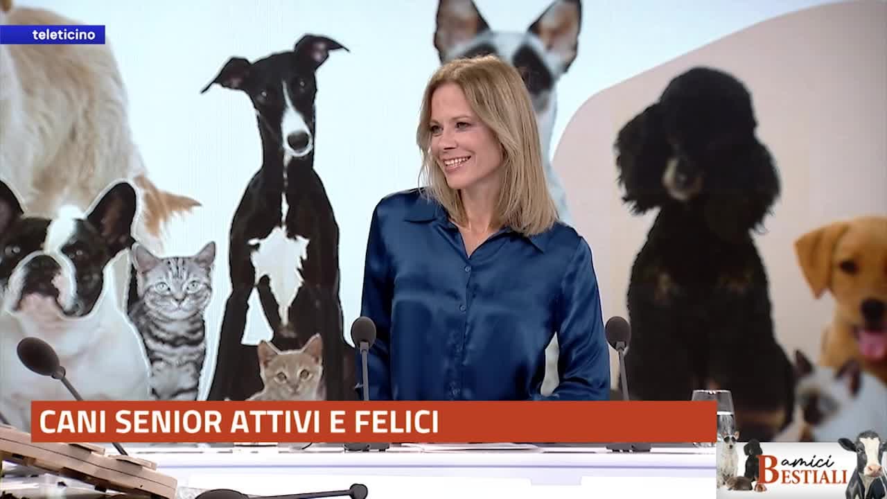 Amici Bestiali del 20 ottobre 2025 - CANI SENIOR ATTIVI E FELICI