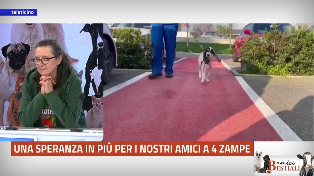 Amici Bestiali del 28 aprile 2025 - DONARE SPERANZA AGLI ANIMALI
