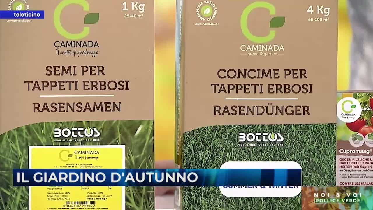 NOI&VOI - POLLICE VERDE - 10.09.24