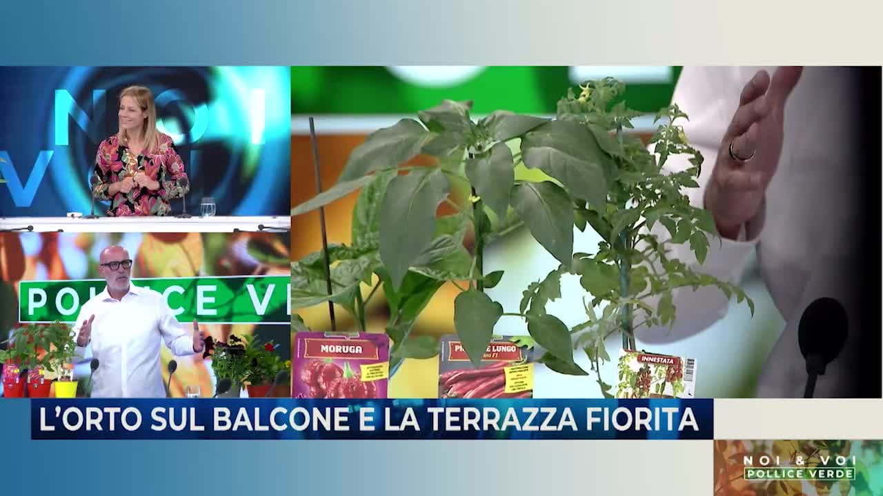 NOI & VOI - POLLICE VERDE - 25.04.24